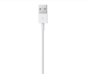 Apple Lightning Cable